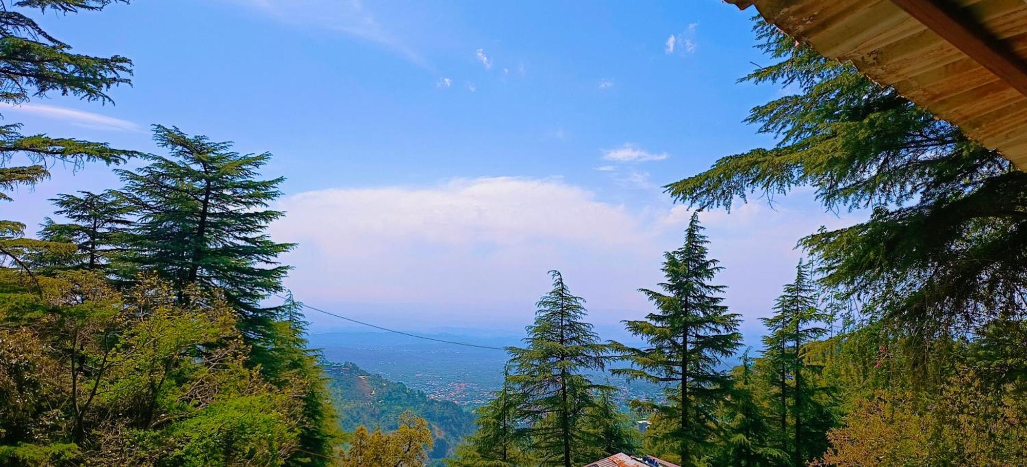 Mcleodganj Bed & Breakfast McLeod Ganj Exterior foto